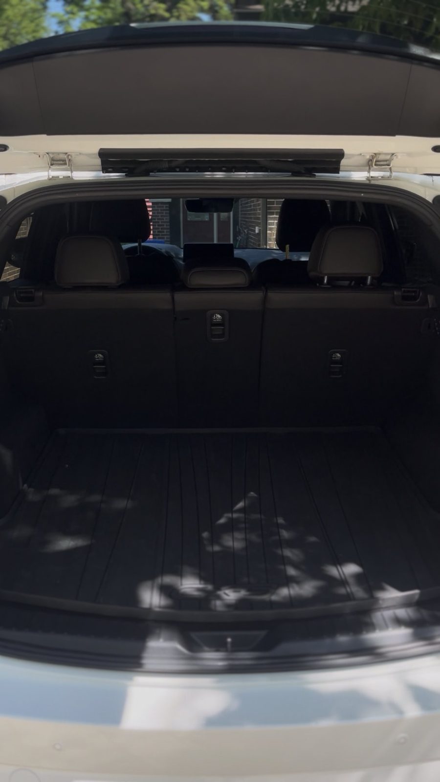 Clean detailed trunk